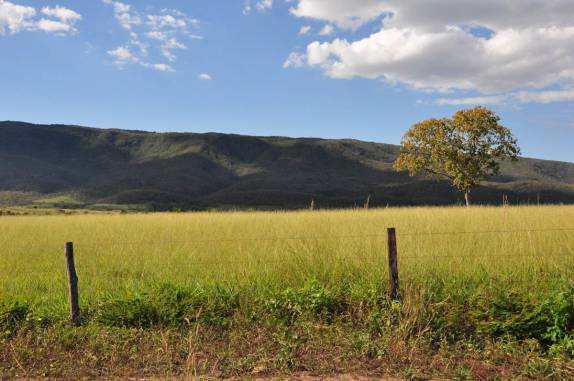 Paisagem bucólica na viagem por estradas de terra entre Terra Ronca e a Chapada dos Veadeiros - GO